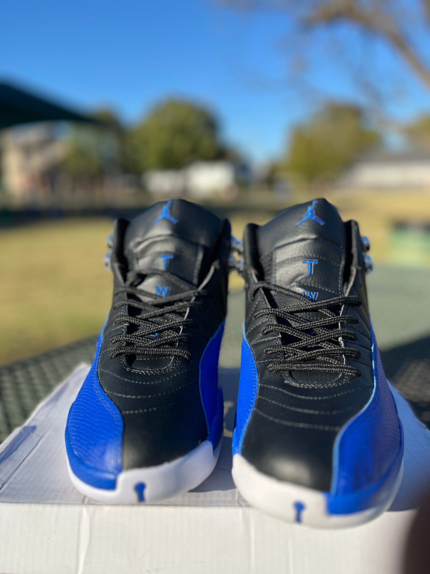 “Nike Air Jordan 12s”