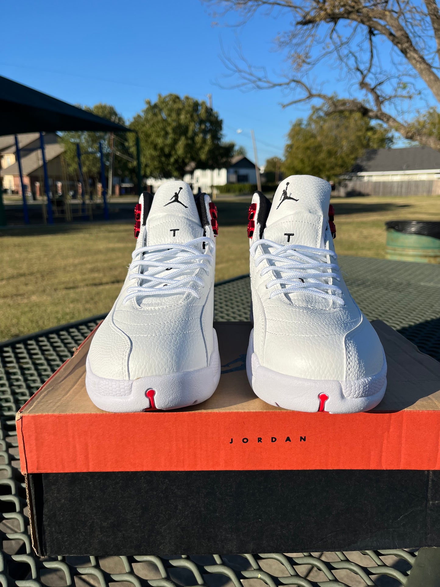 NIKE AIR JORDAN 12s “TWIST”