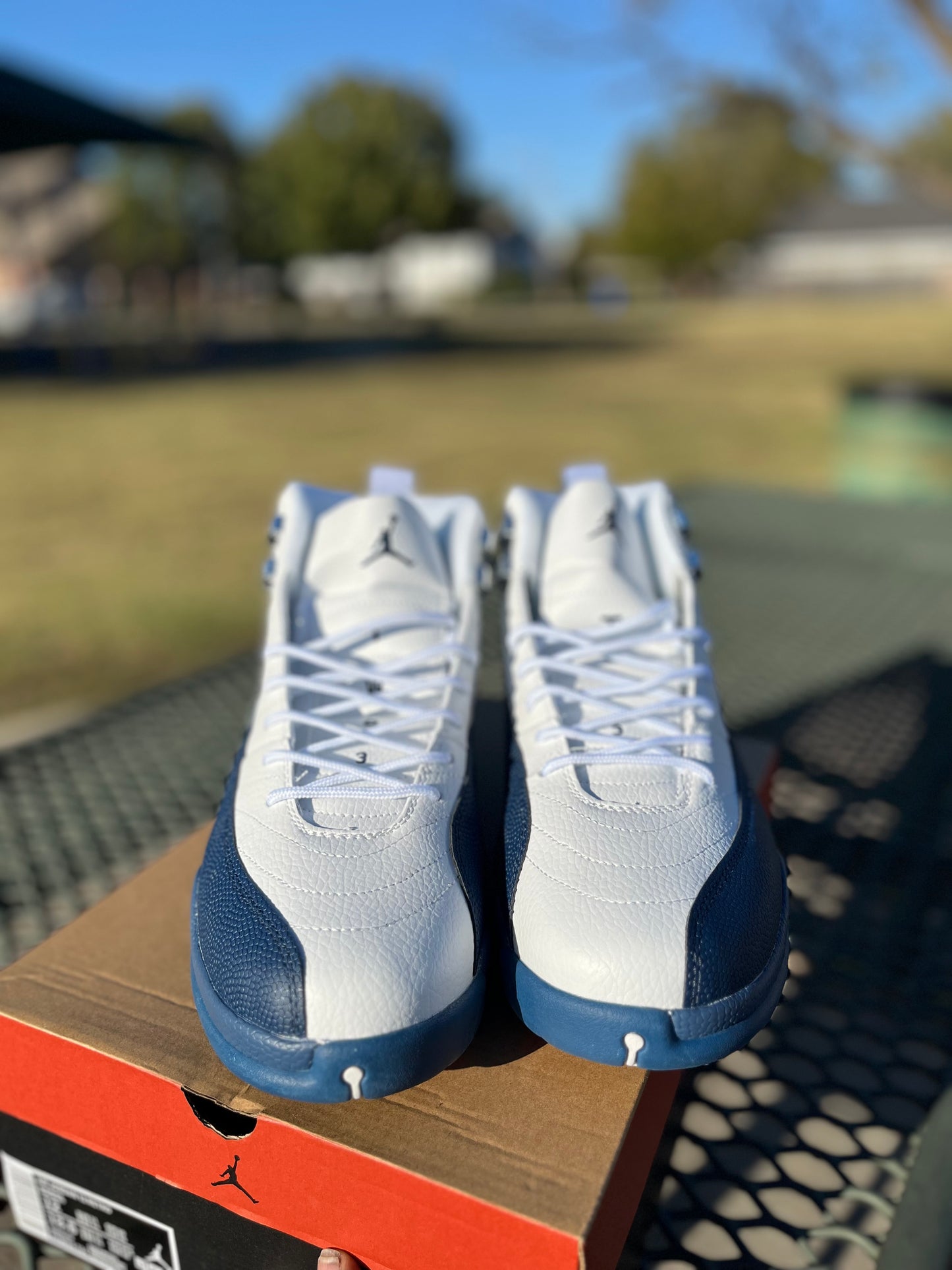 Nike Air Jordan 12s “French Blues”