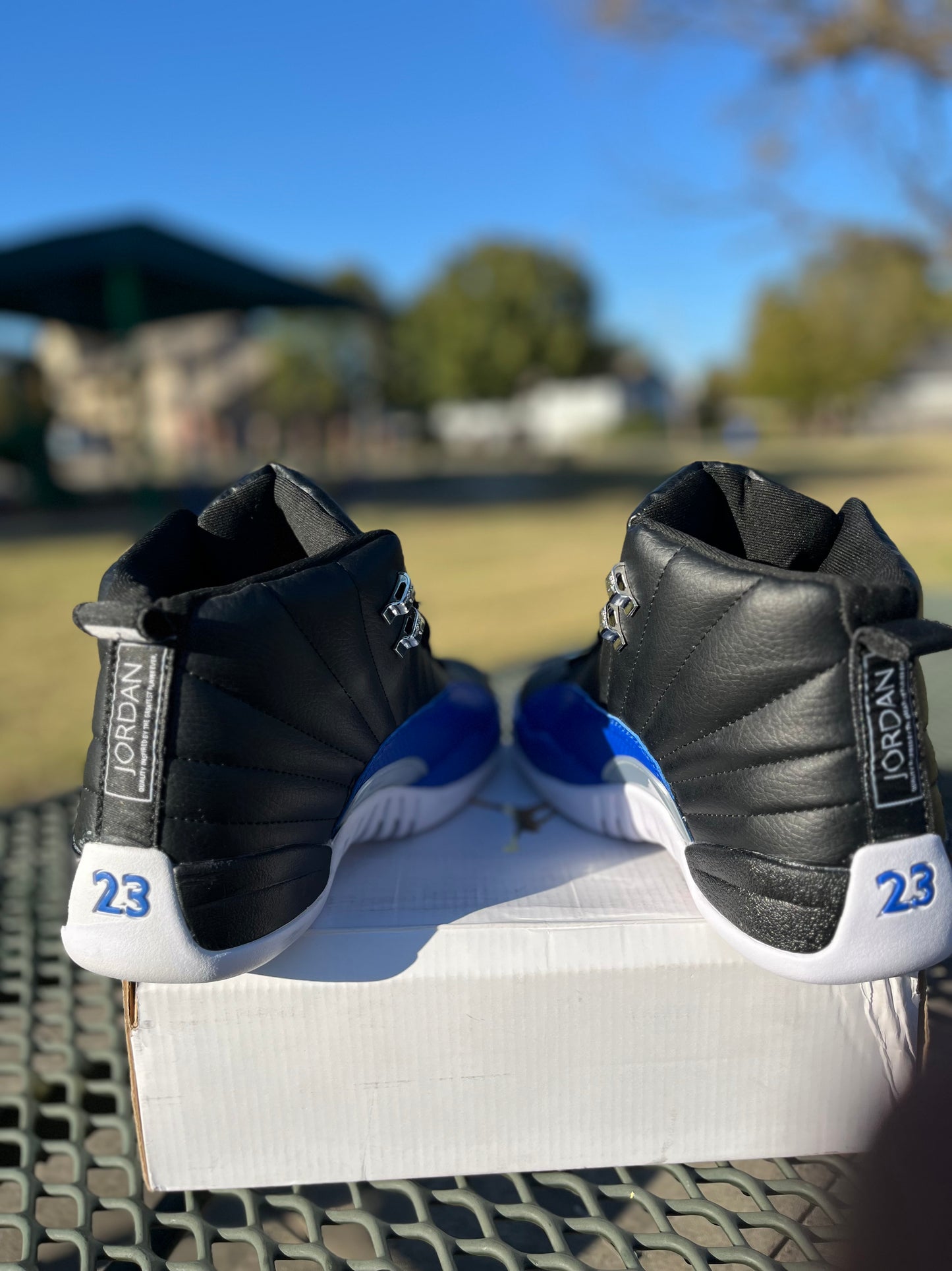 “Nike Air Jordan 12s”