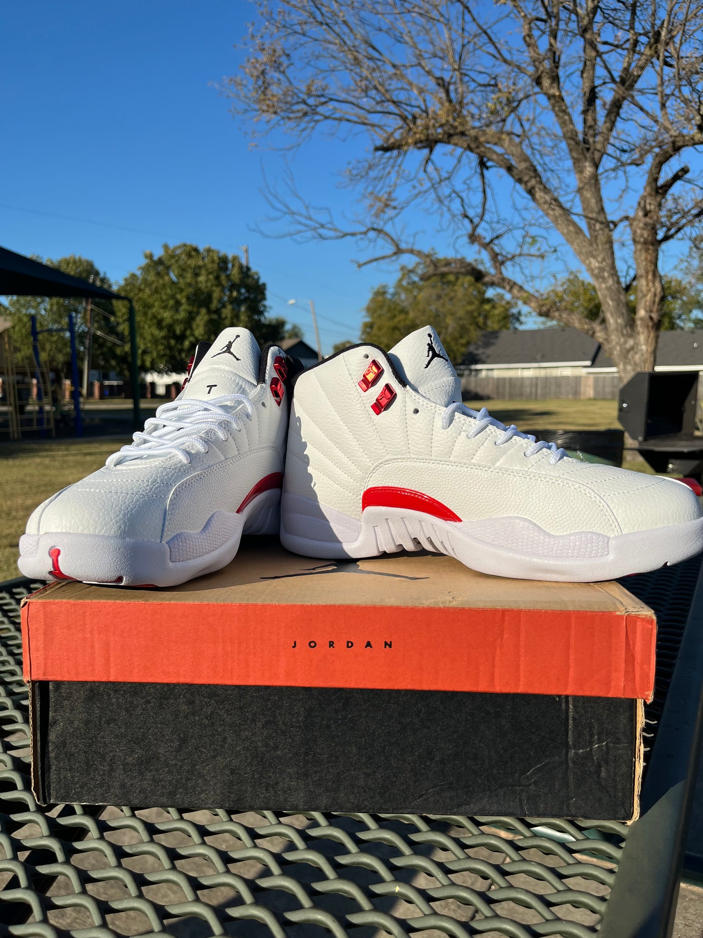 NIKE AIR JORDAN 12s “TWIST”