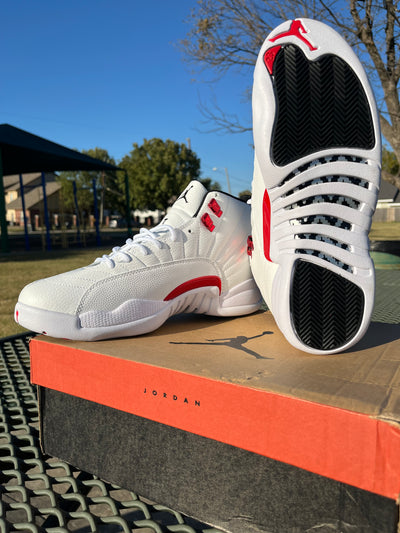 NIKE AIR JORDAN 12s “TWIST”