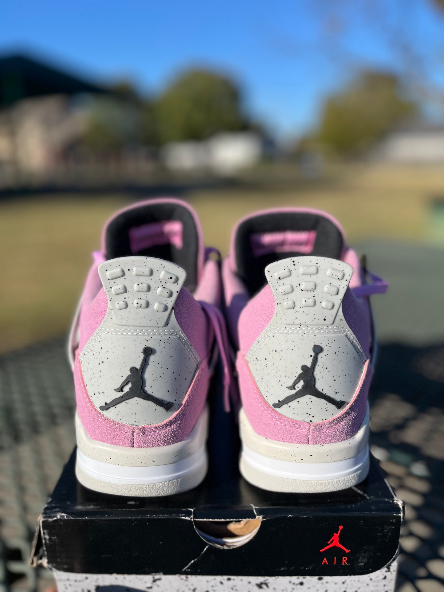 “NIKE AIR JORDAN 4s ORCHID”