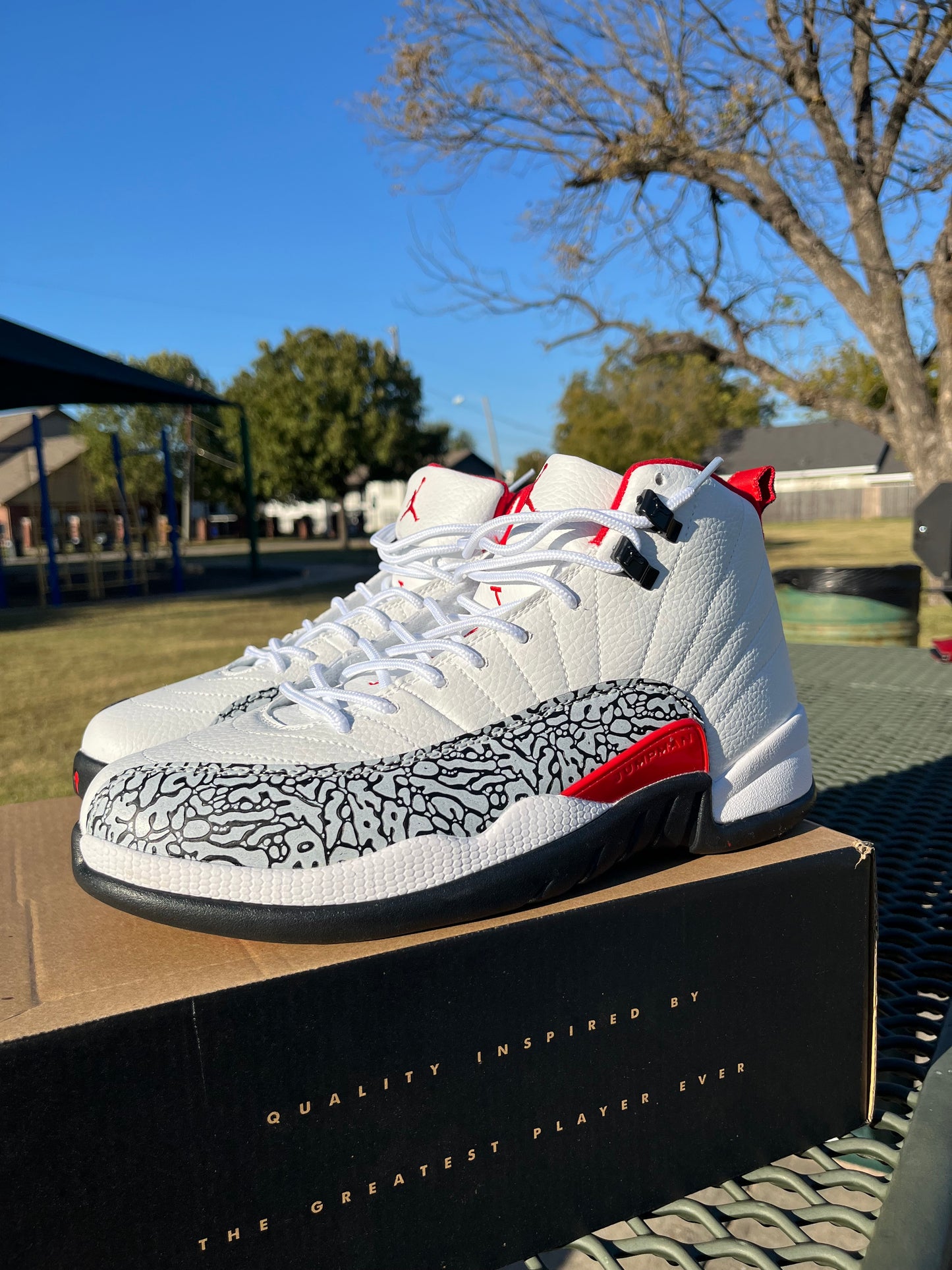 “NIKE AIR JORDAN 12s White/Red/Black”