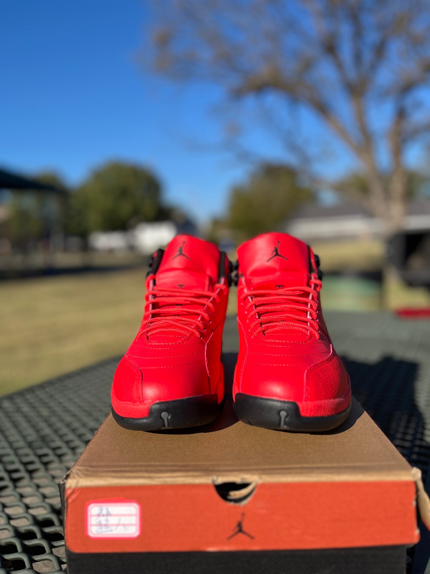 Nike Air Jordan 12s “Blood Red”