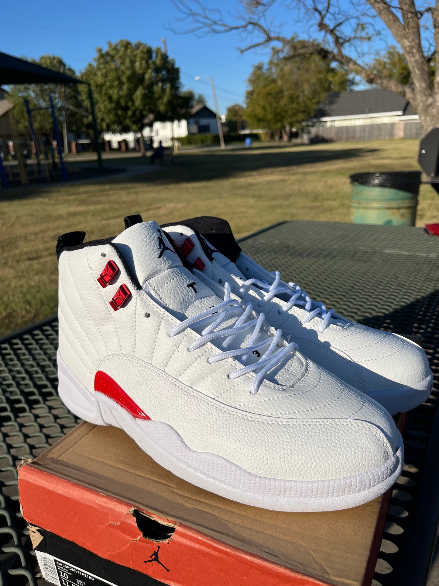 NIKE AIR JORDAN 12s “TWIST”