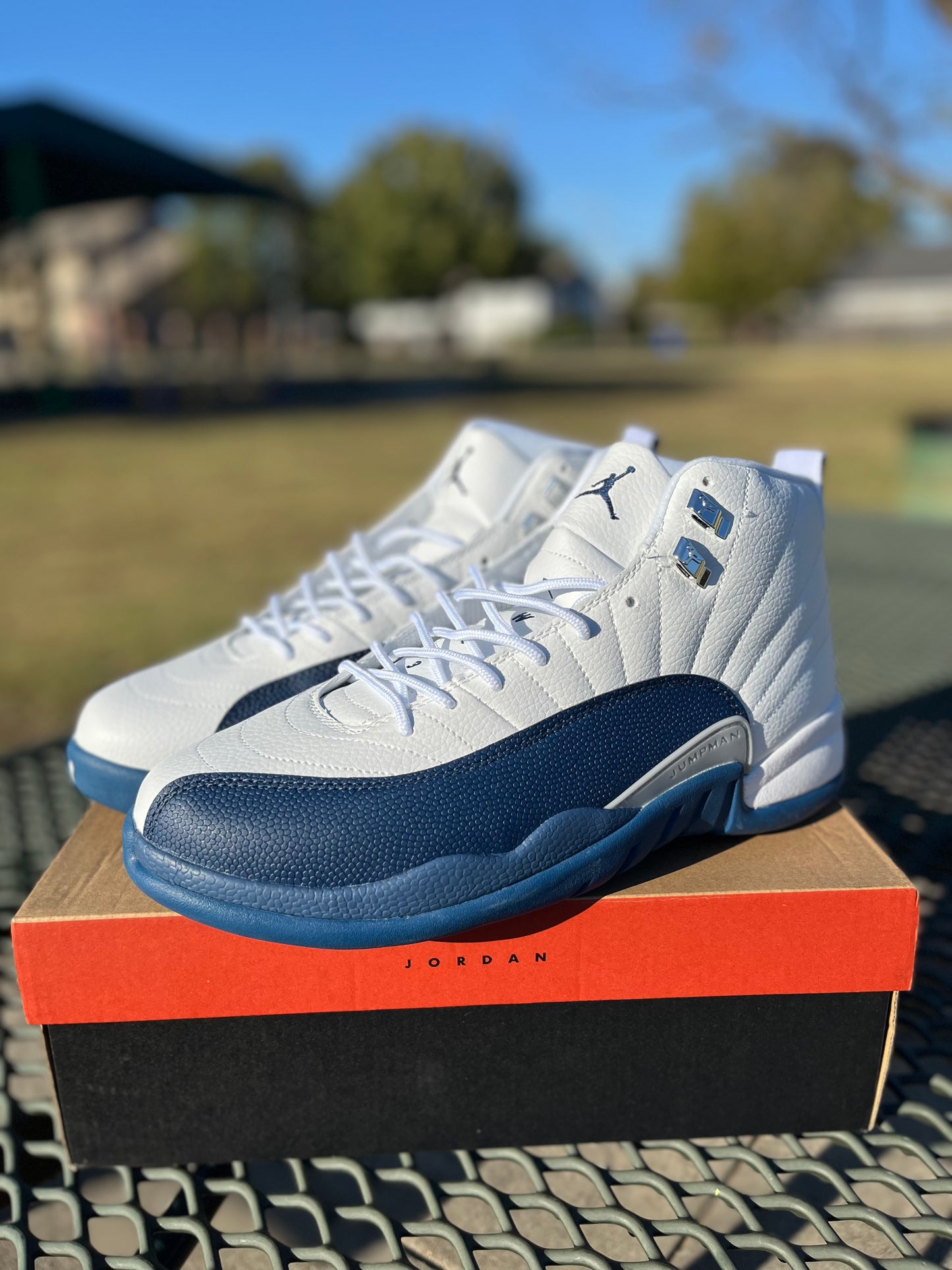 Nike Air Jordan 12s “French Blues”