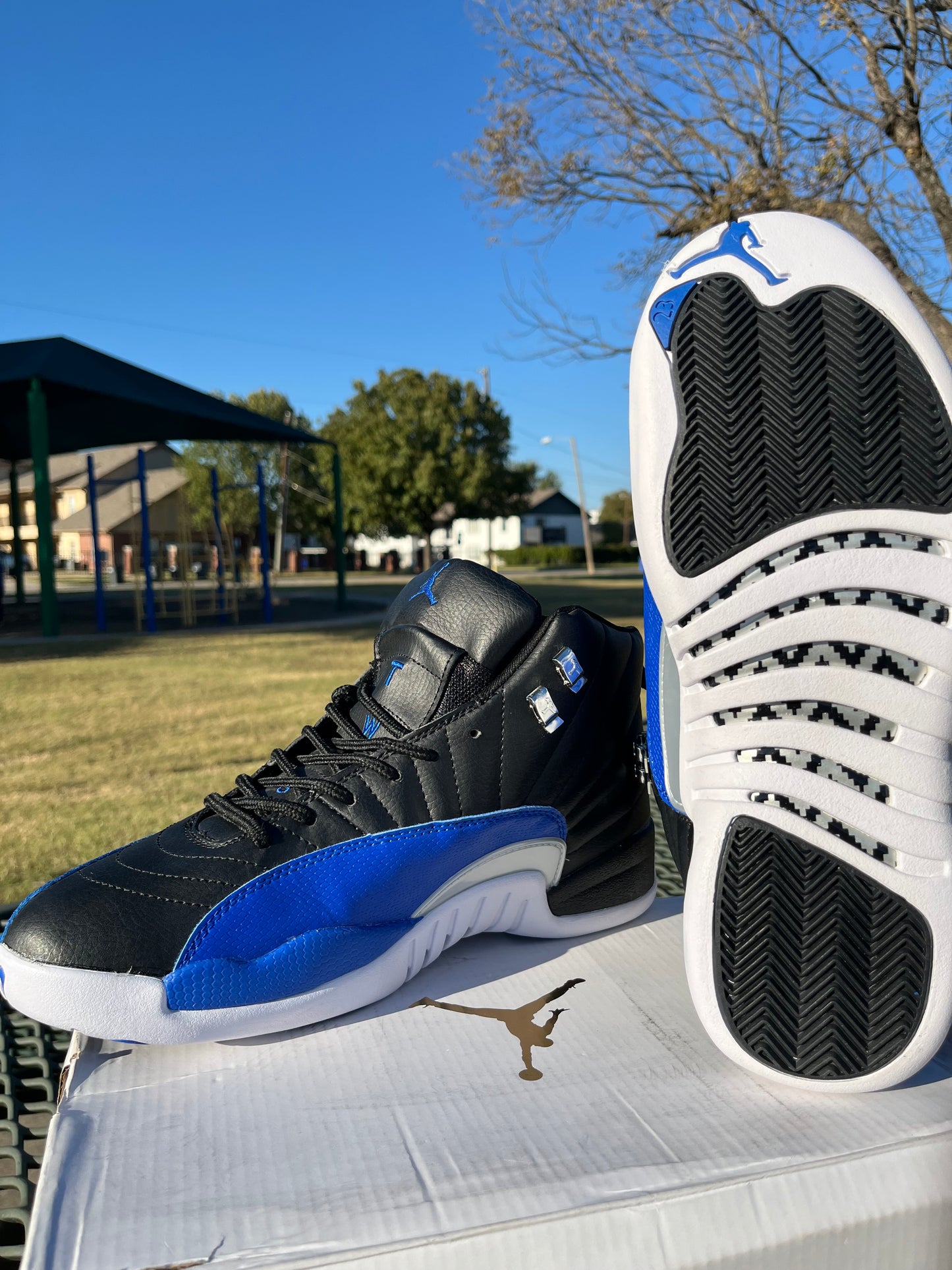 “Nike Air Jordan 12s”