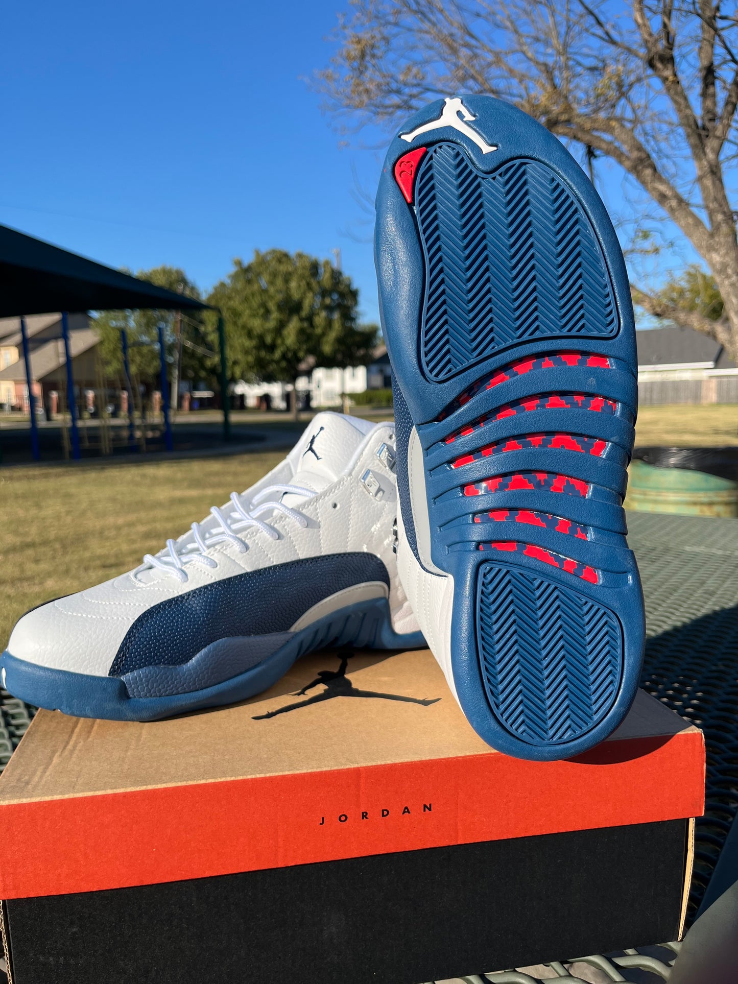 Nike Air Jordan 12s “French Blues”