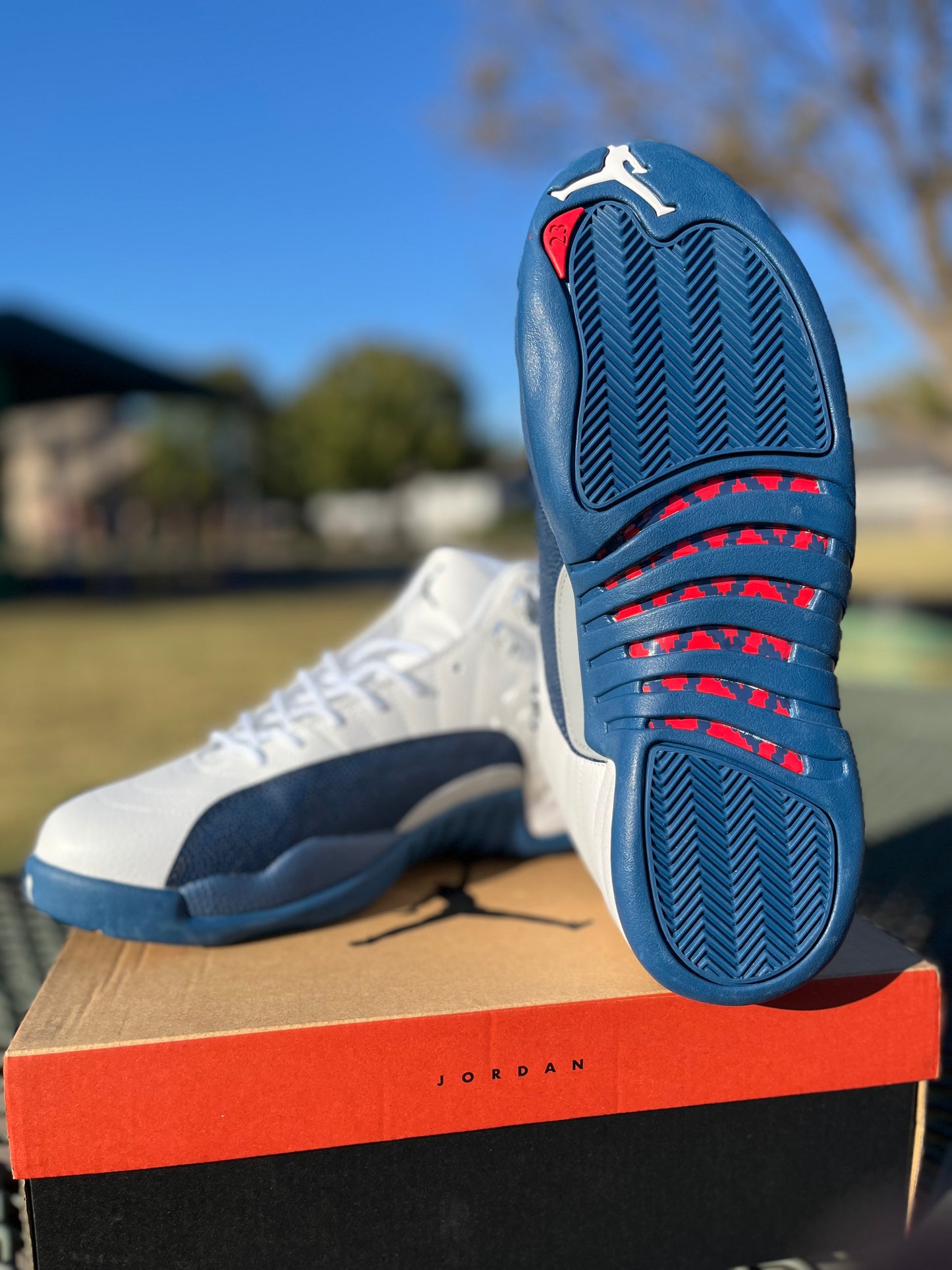 Nike Air Jordan 12s “French Blues”