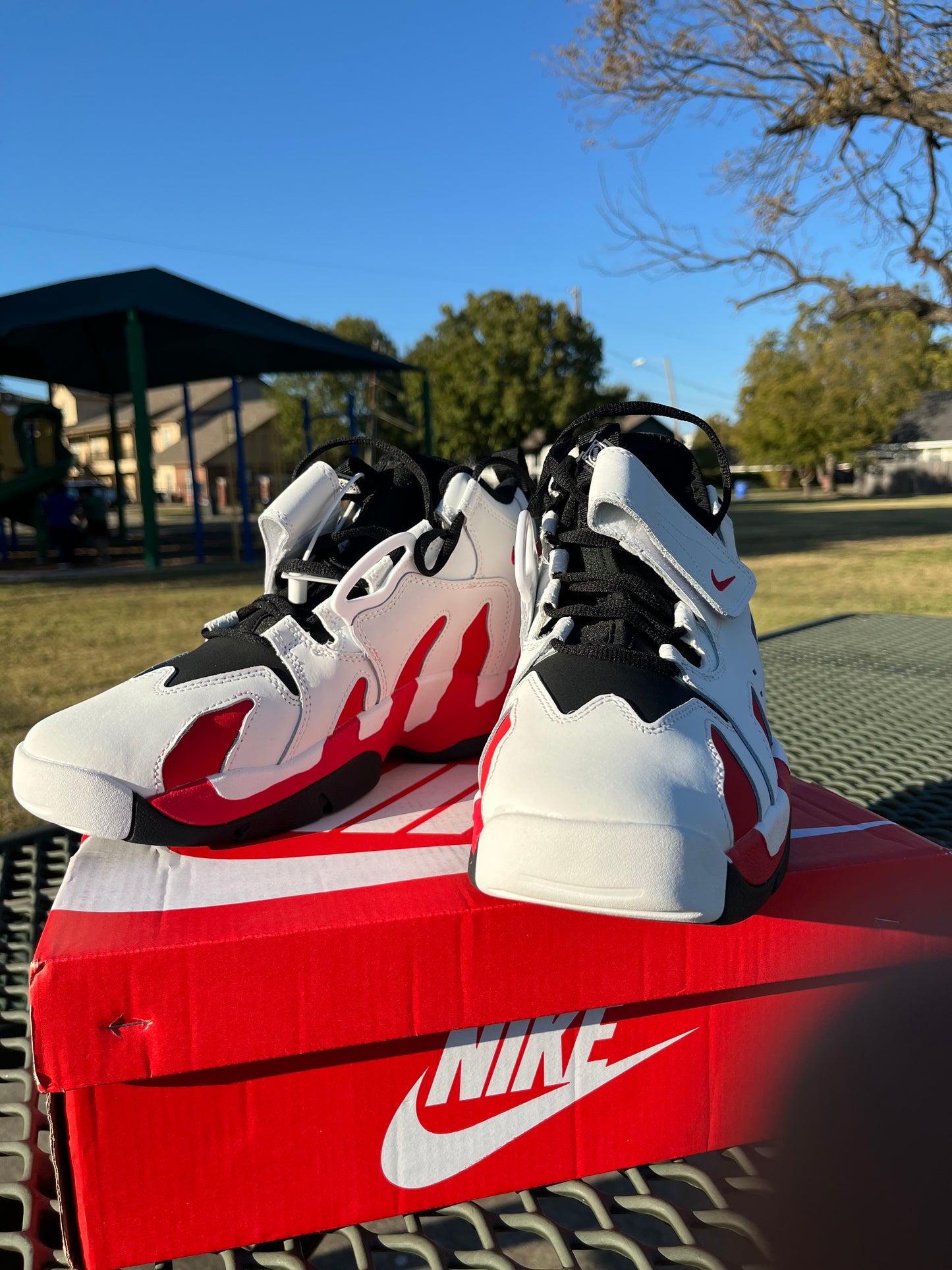 “NIKE LEBRON DT MAX”