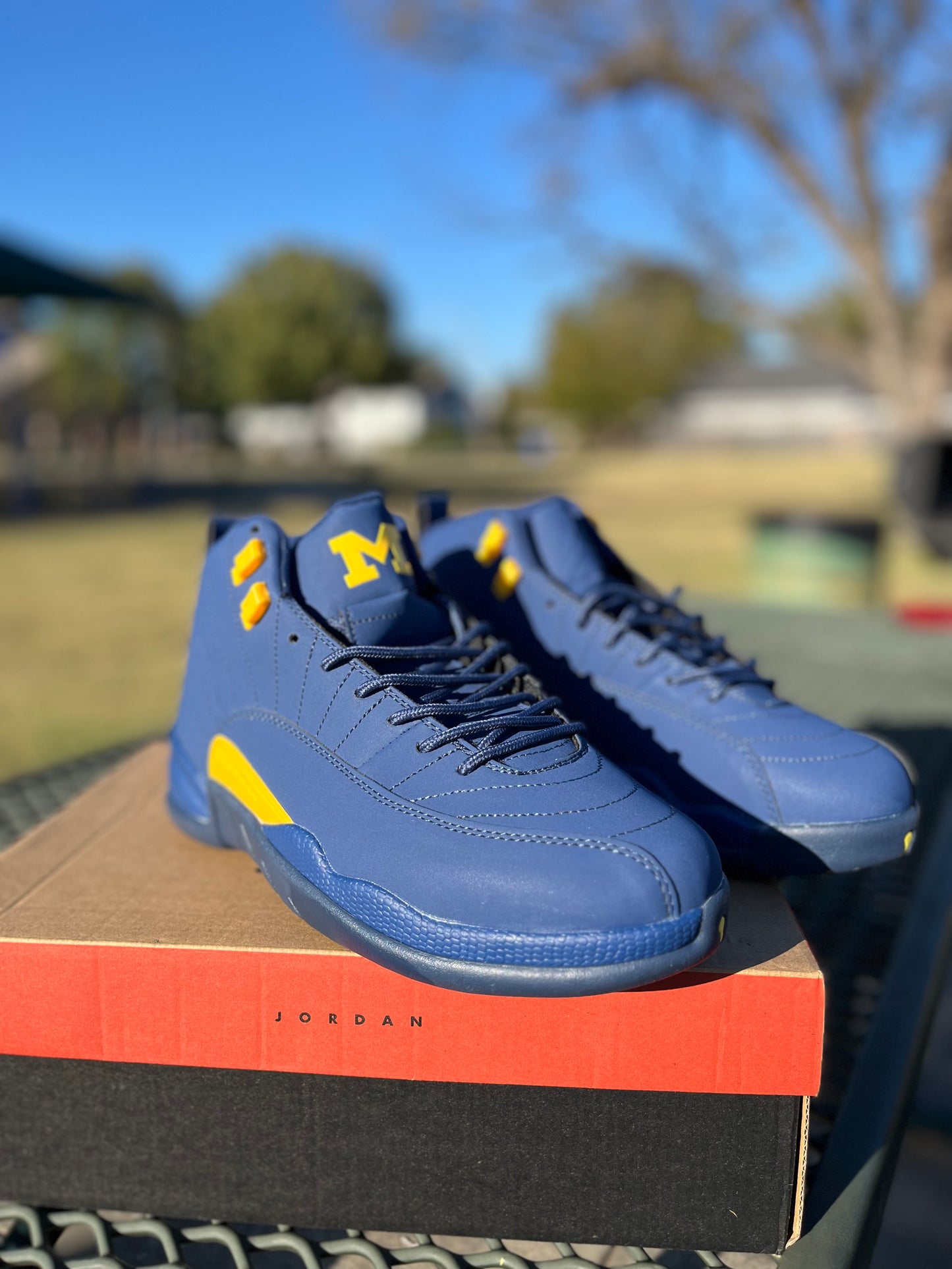 Nike Air Jordan 12s “Michigan University blue PE EDITION “