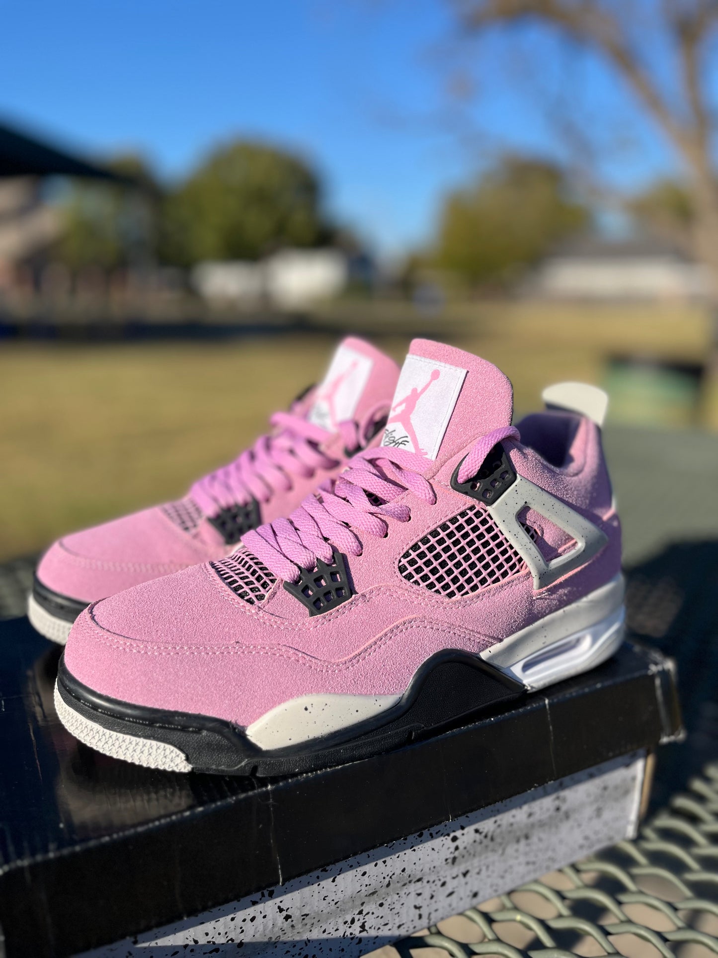 “NIKE AIR JORDAN 4s ORCHID”