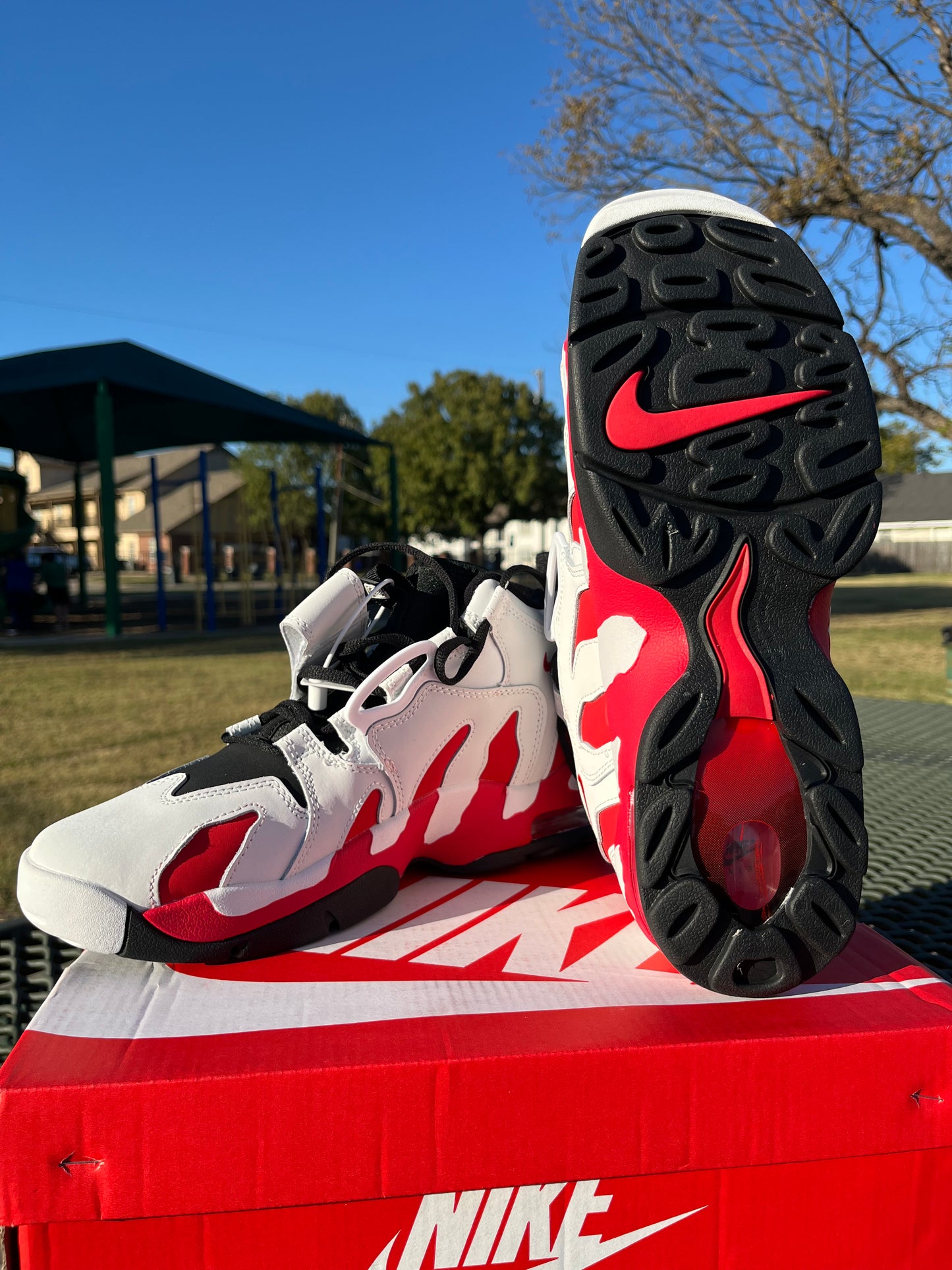 “NIKE LEBRON DT MAX”