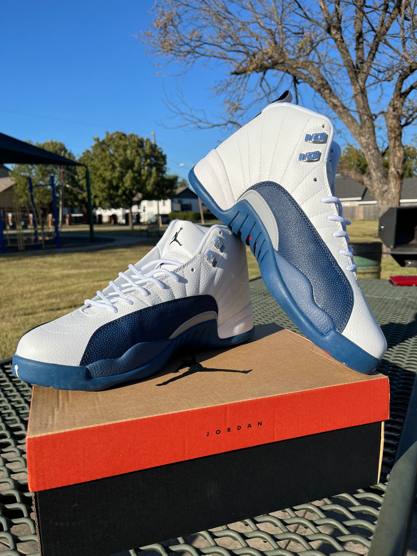 Nike Air Jordan 12s “French Blues”