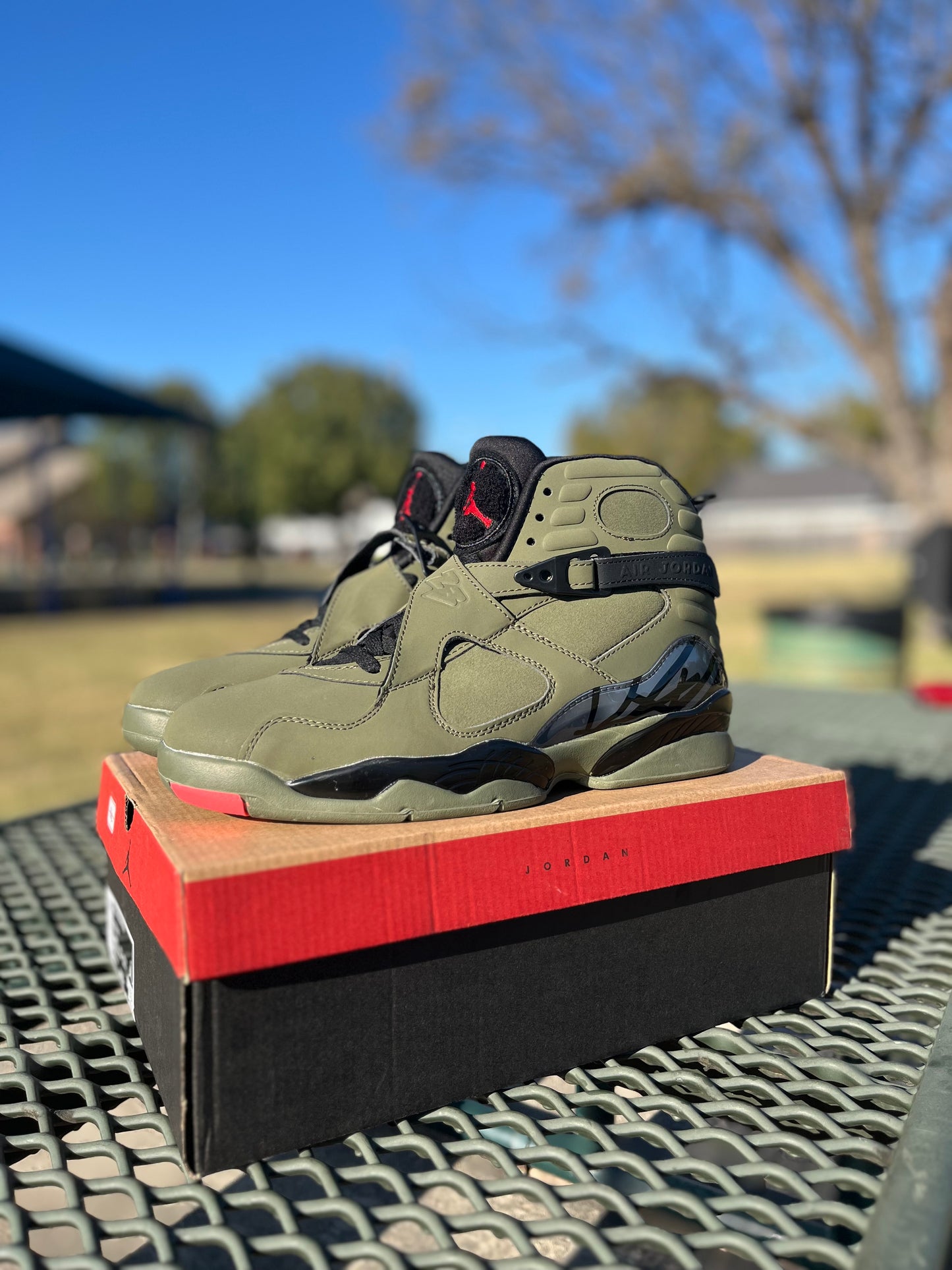 Nike Air Jordan Retro 8 “Take Flight”