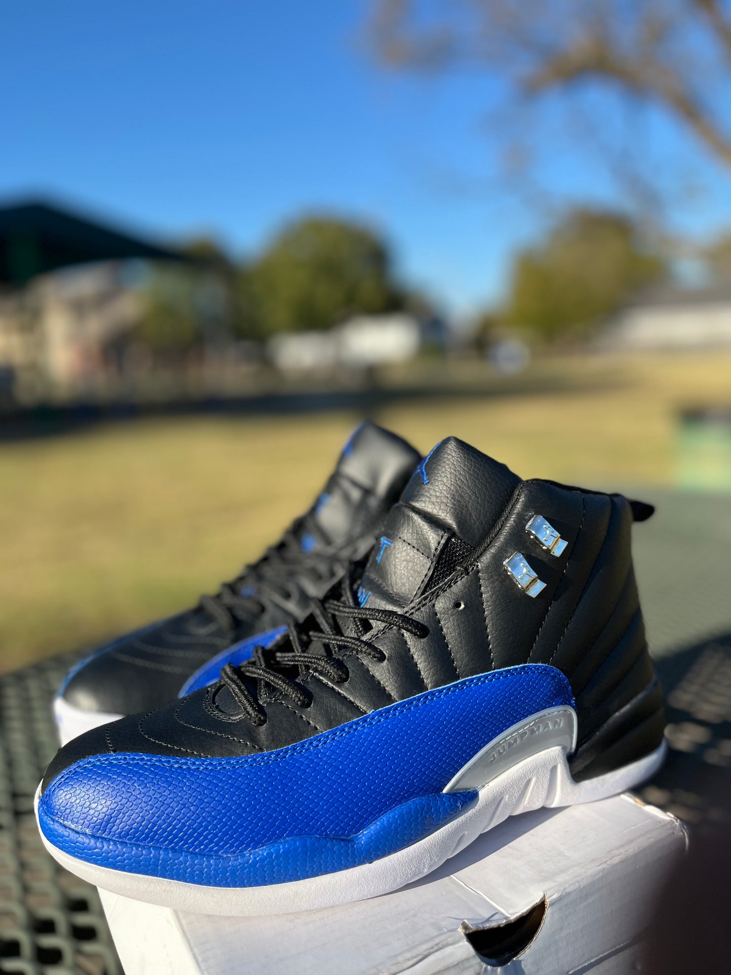 “Nike Air Jordan 12s”