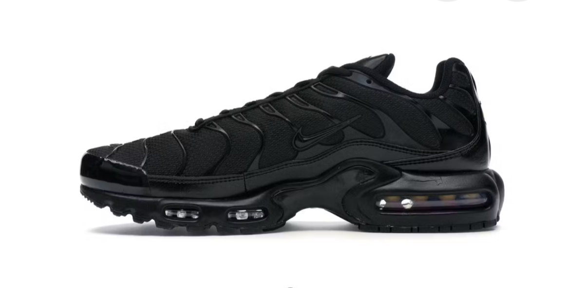 "NIKE AIR MAX PLUS"