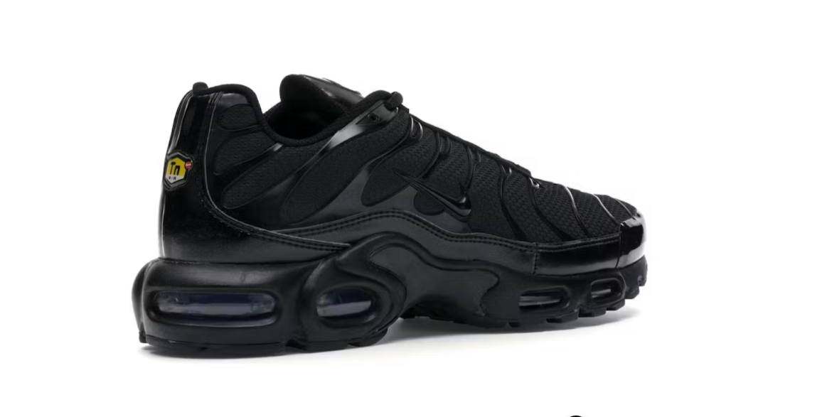 "NIKE AIR MAX PLUS"